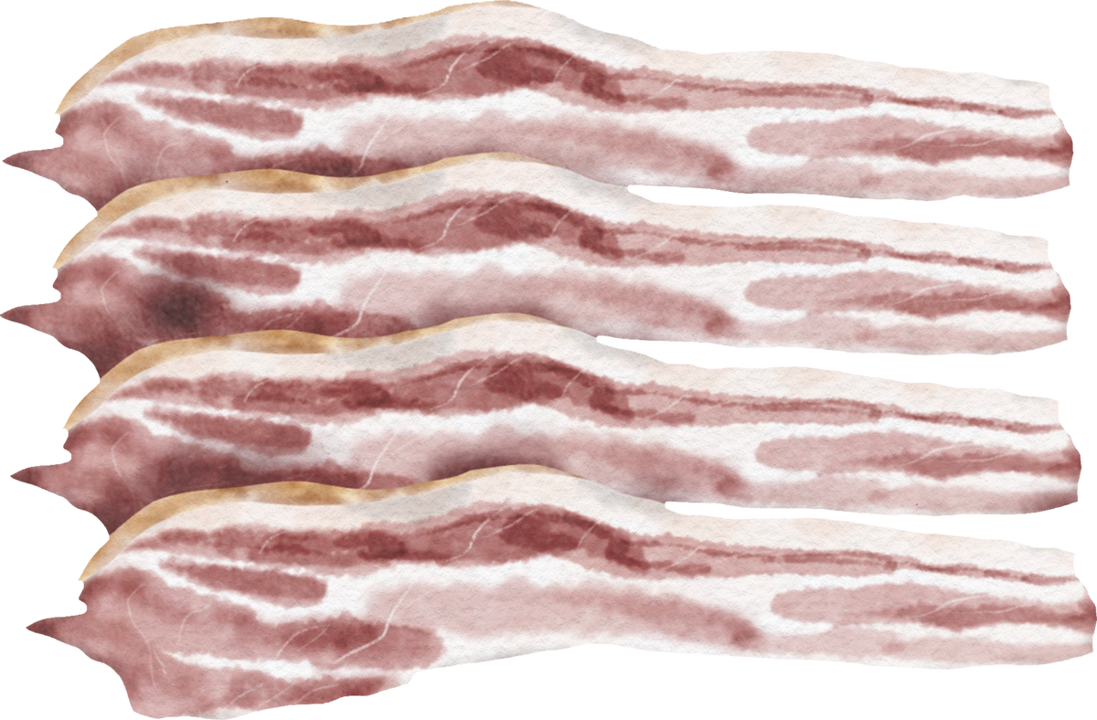 Slices of bacon arranged in a row on a white background