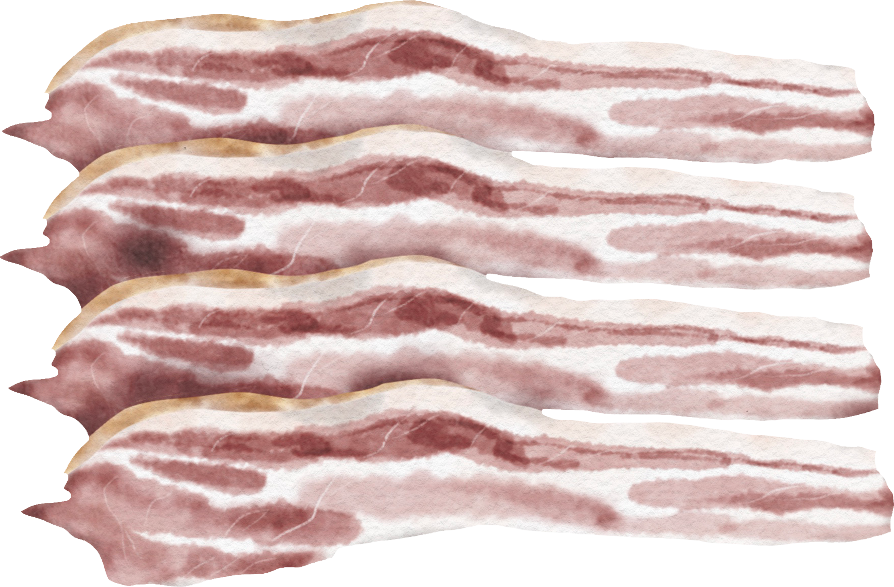 Slices of bacon arranged in a row on a white background